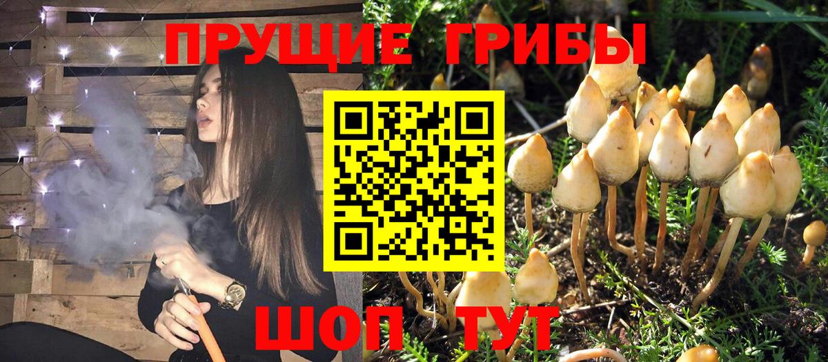 Псилоцибиновые грибы MAGIC MUSHROOMS Ахтубинск