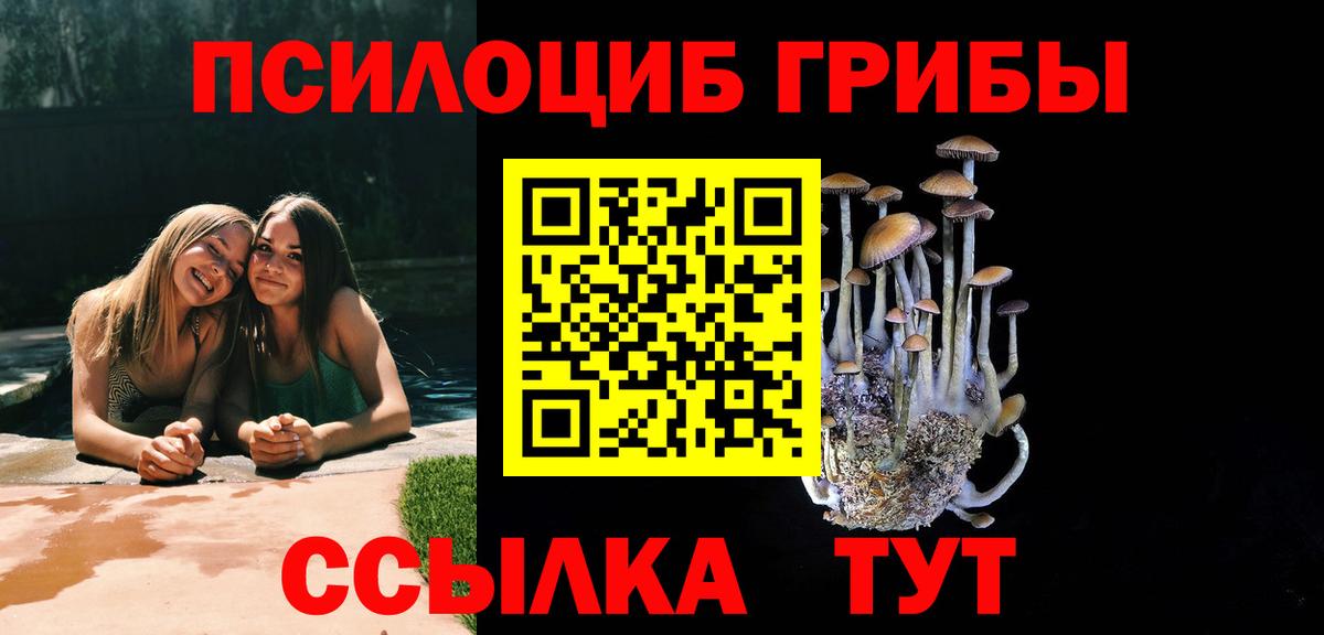 Ахтубинск  Псилоцибиновые грибы Psilocybine cubensis  Вход с VPN 